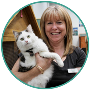 Cat Kennel Carolina Springs