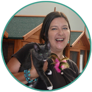 Luxury Cat Boarding in Melbourne