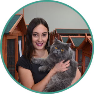 Luxury Cat Boarding in Melbourne