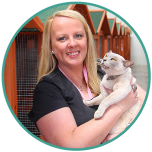 Cat Daycare Services Australia