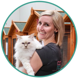 Cattery Services Melbourne