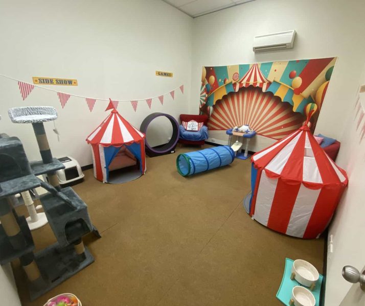 Circus Room