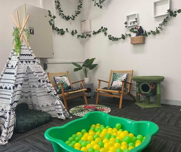 Cat Cost in Australia, Cat Boarding Prices Melbourne Luxury Cattery Melbourne