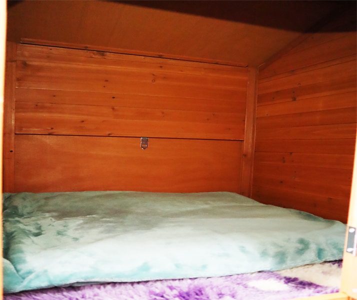 Cat Cost in Australia, Cat Boarding Prices Melbourne